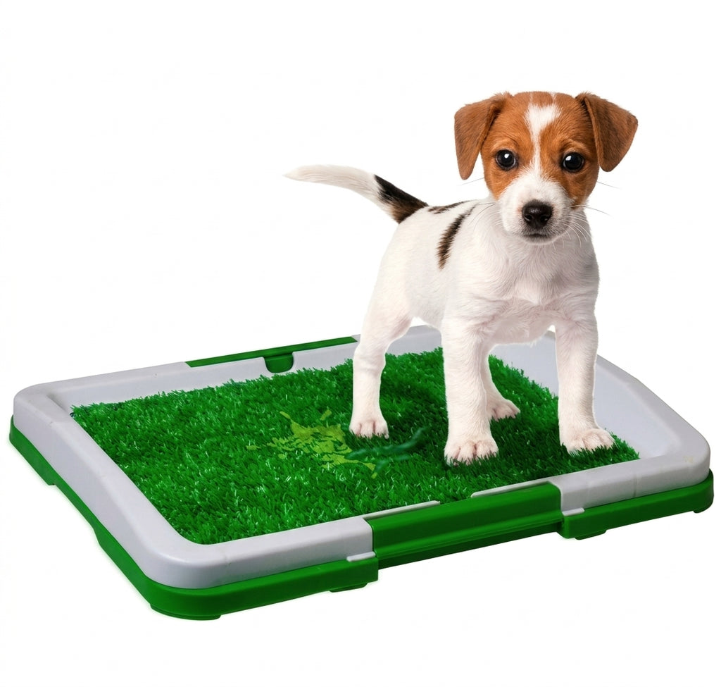Alfombra Absorbente para Perros
